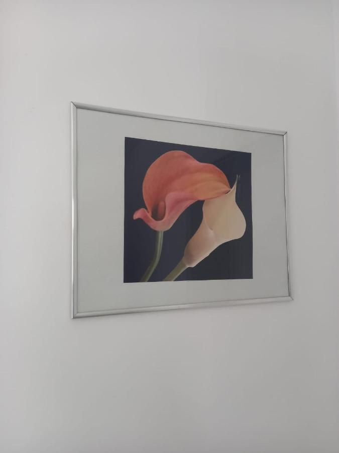 Neubau Appartement Mit Terasse, Privater Eingang,Parkplatz,Kueche Fürth エクステリア 写真